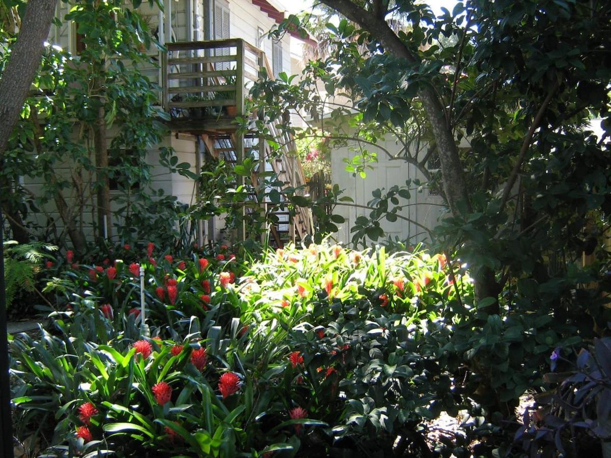 The Treehouse Apartment Сейнт Питърсбърг Екстериор снимка